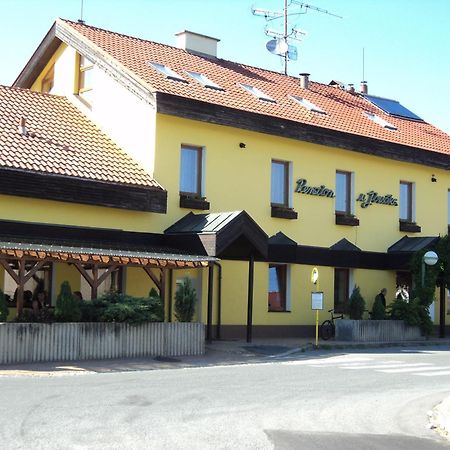 Penzion U Jirsaka Vikyrovice Exterior photo